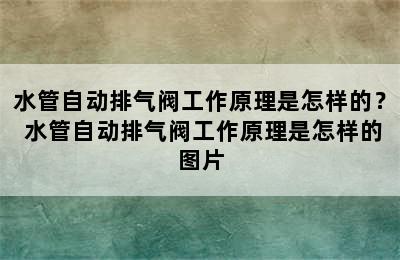 水管自动排气阀工作原理是怎样的？ 水管自动排气阀工作原理是怎样的图片